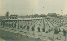 1916年.袁世凯墓.河南制造