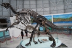 惊现：大灭绝事件后的恐龙化石（图）